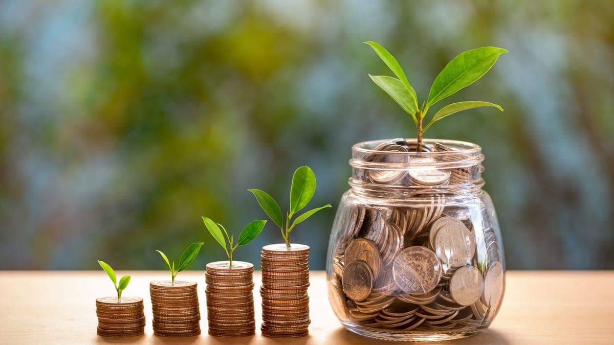 Small plant growing out of a stack of coins